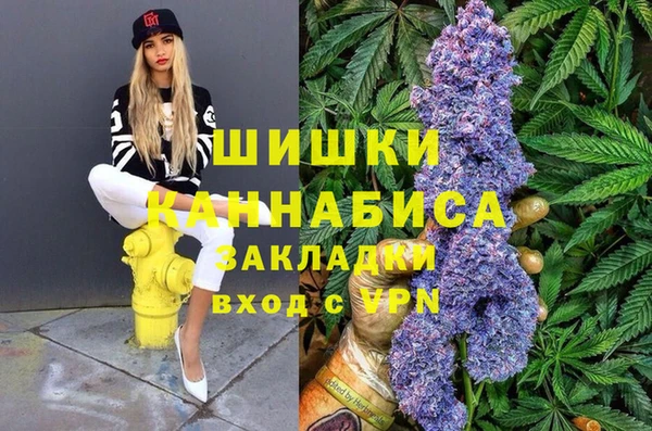 МДПВ Нея
