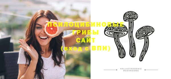 прущие грибы Семёнов