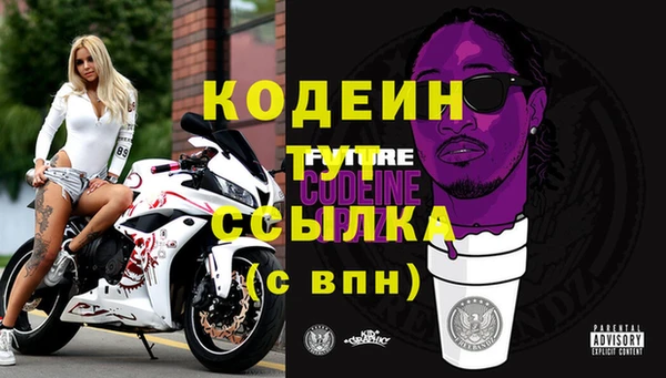 МДПВ Нея