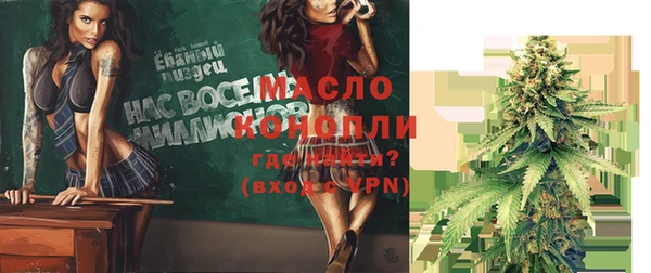 МДПВ Нея
