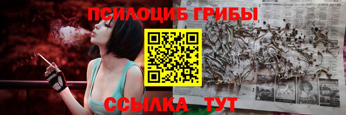 Галлюциногенные грибы MAGIC MUSHROOMS Знаменск